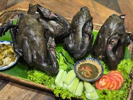 GIỐNG GÀ H'MÔNG ĐEN
